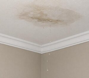 Repeated leak repairs