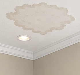 Ceiling stains or interior water